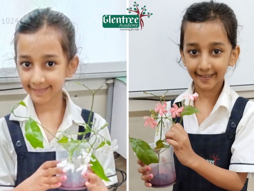 on-weightless wednesday-student-showing-before-and-after-plant