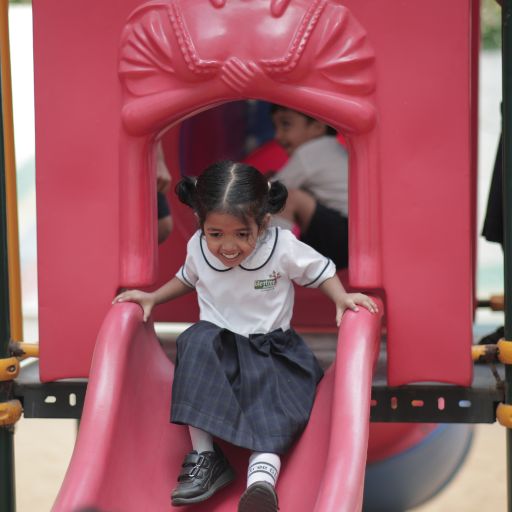 play-area