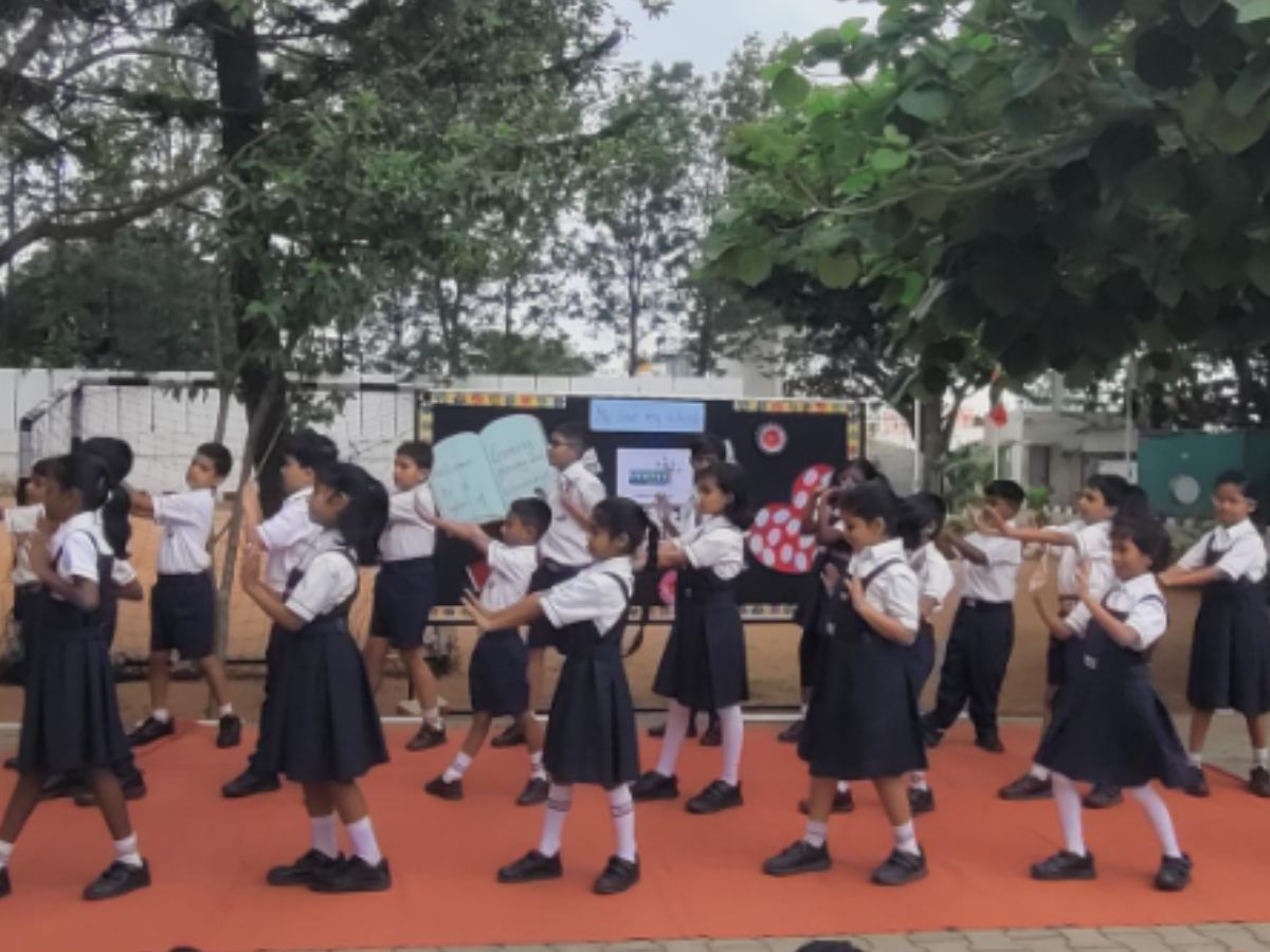 my-school-my-love