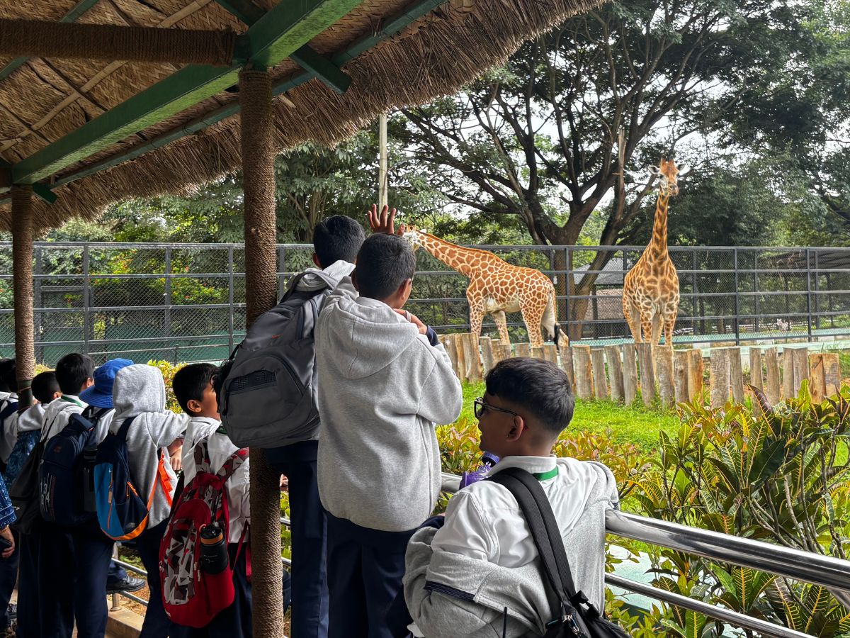 the-bannerghatta-national-park