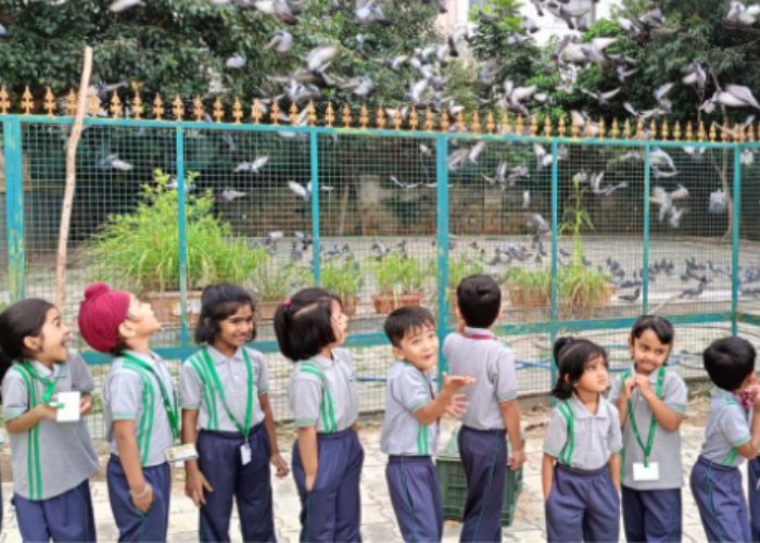field-trip-to-goshala