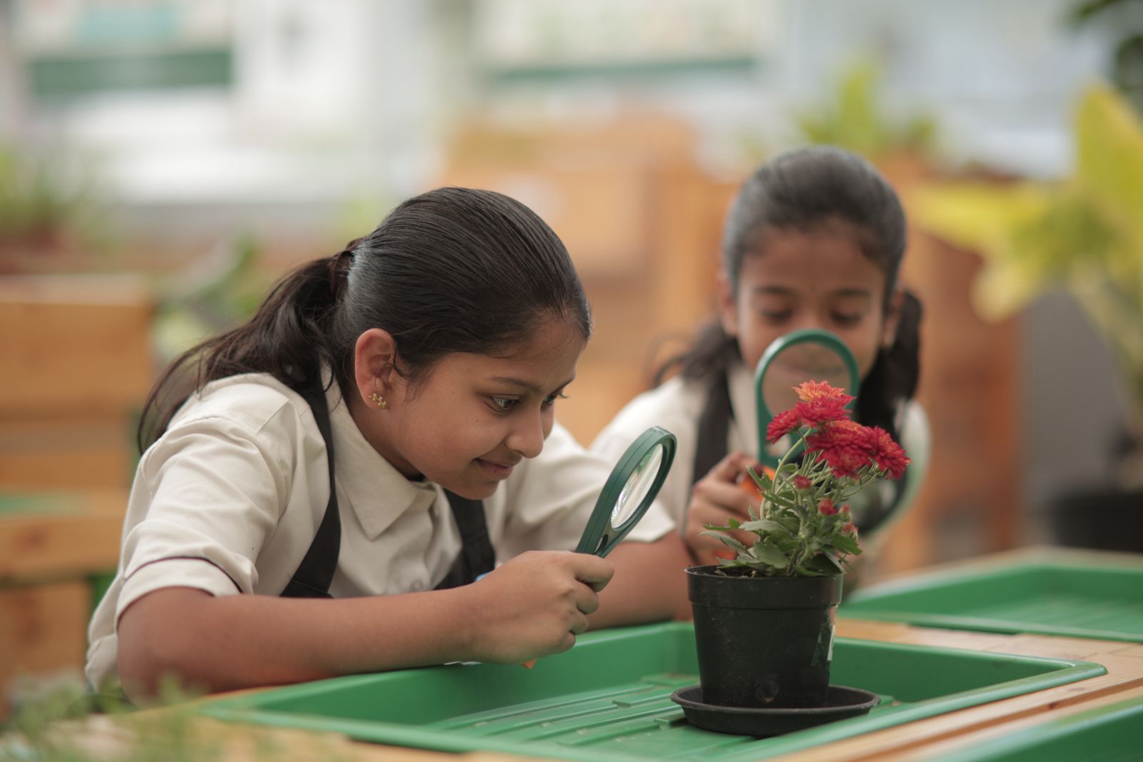 student-working-together