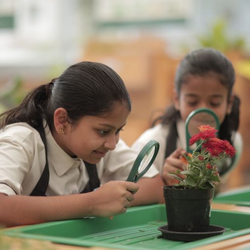 student-working-together